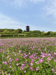 本日も宜しくお願い致します