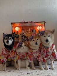 ありがとうございました