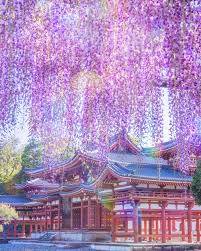 本日も宜しくお願い致します