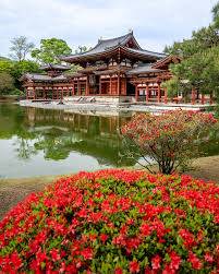 出勤の予定でしたが、お休みさせていただきます