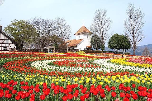 予想最高気温は２３℃