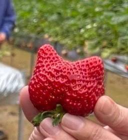 受け付け終了😊