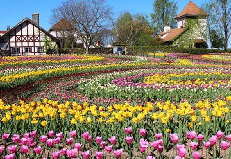 予想最高気温は１９℃