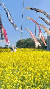 お疲れ様でした