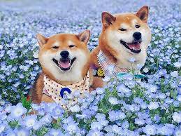 ありがとうございました