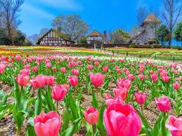 予想最高気温は２４℃