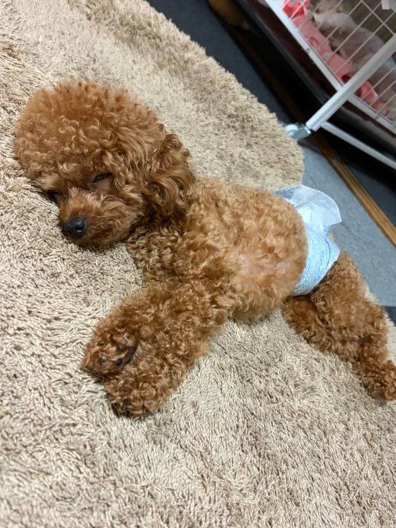 おはよぉ🍃🌸🐝🌸🍃