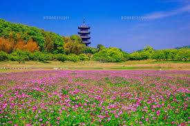 ４月最後の火曜日