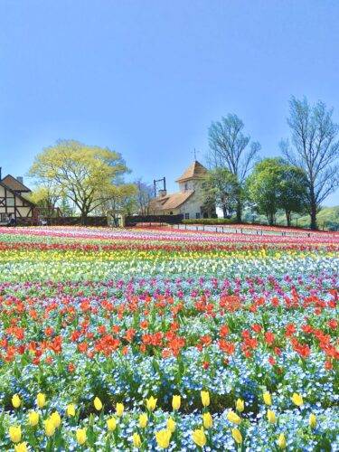 予想最高気温は２６℃
