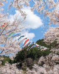 お疲れ様でした