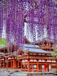 出勤の予定でしたが、お休みさせていただきます