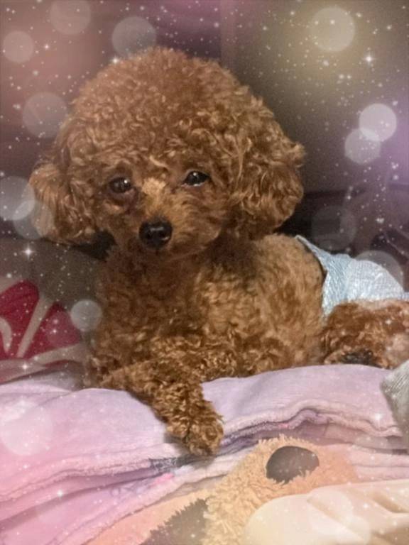 おはよぉ🍃🌸🐝🌸🍃