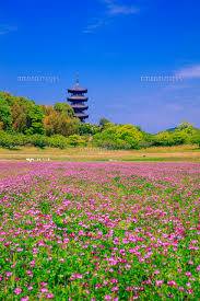 予想最高気温は２０℃