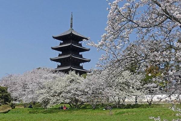 ４月の終わりに