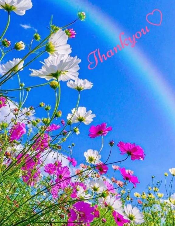 あリがとうございます♫