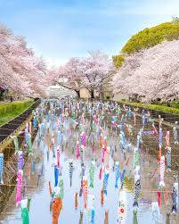 お疲れ様でした