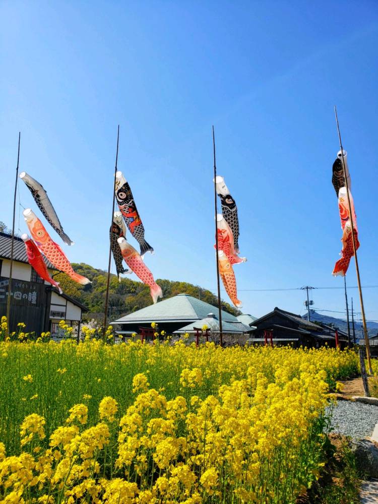 本日も宜しくお願い致します