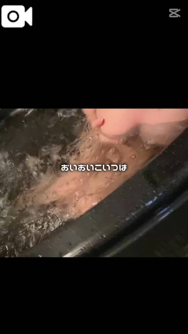 明日から🌟⋆꙳