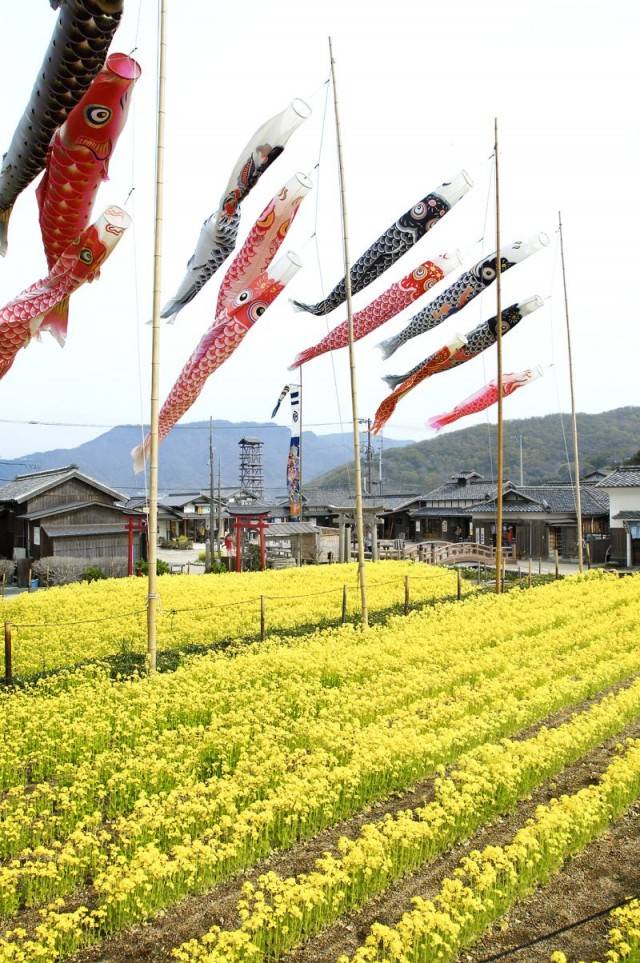 ５月になって初めての日曜日