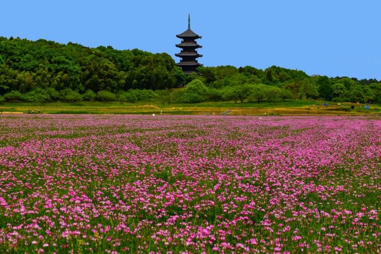 予想最高気温は１８℃ 降水確率は９０％
