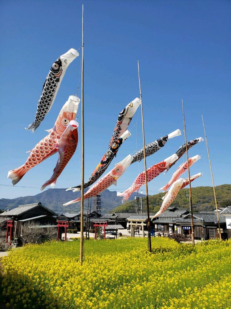 出勤の予定でしたが、お休みさせていただきます