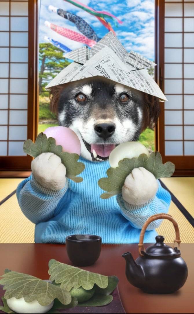 こどもの日🎏