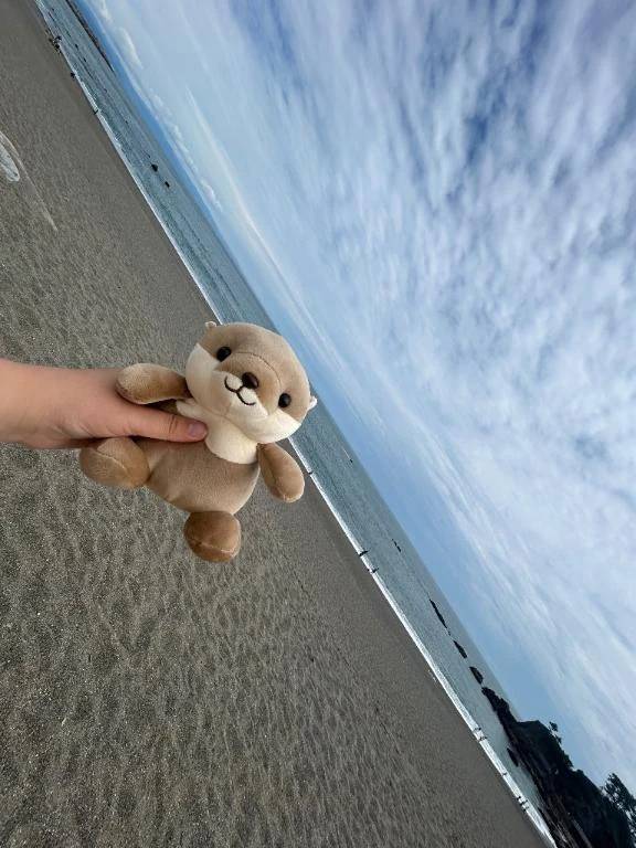 桂浜🌊