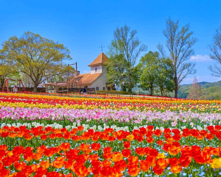 ５月になって初めての木曜日