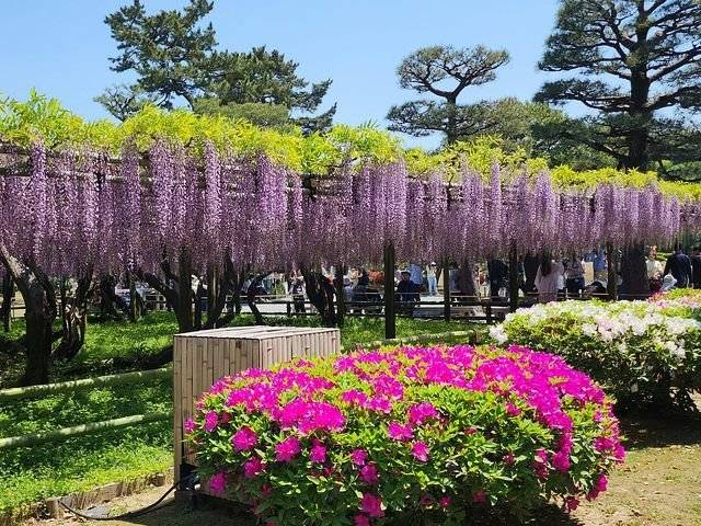 予想最高気温は２６℃