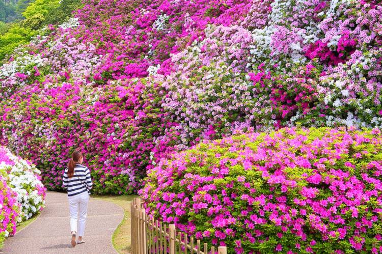 予想最高気温は２３℃