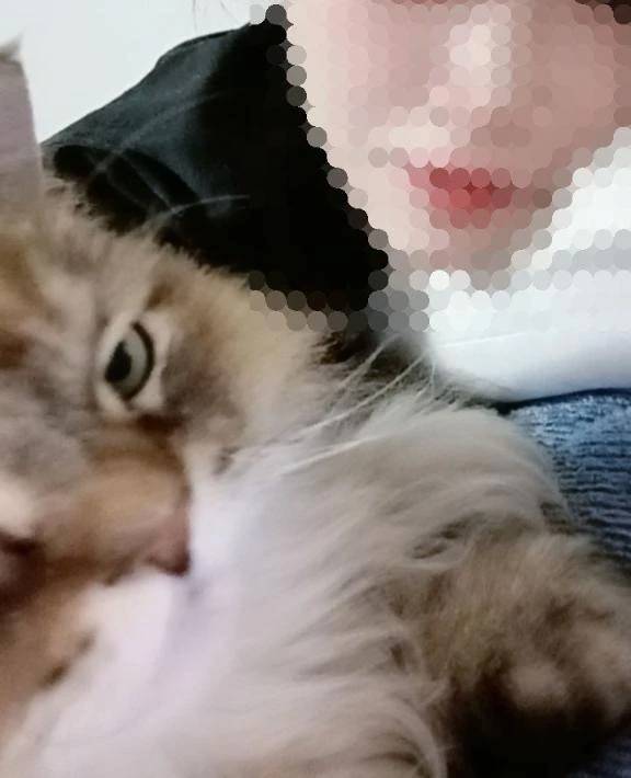ミルクボーイ🎙️
