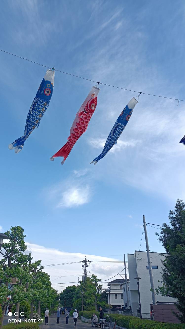 出勤です。
