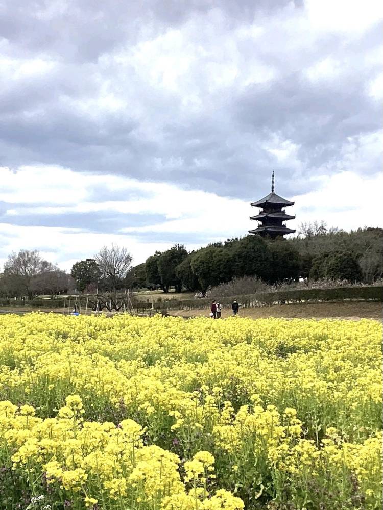 ５月になって２回目の火曜日