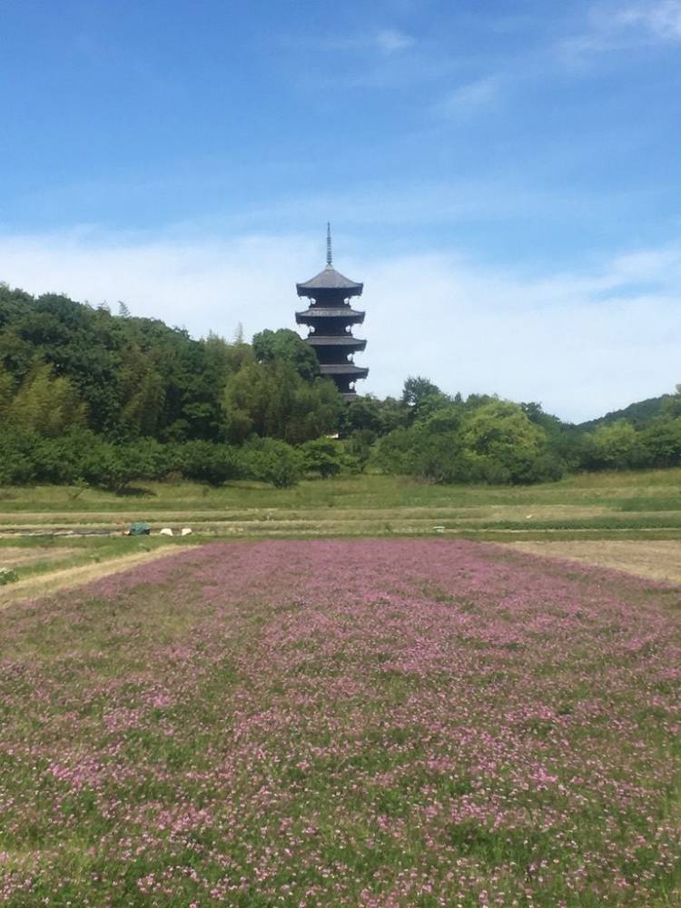 ５月になって２回目の水曜日