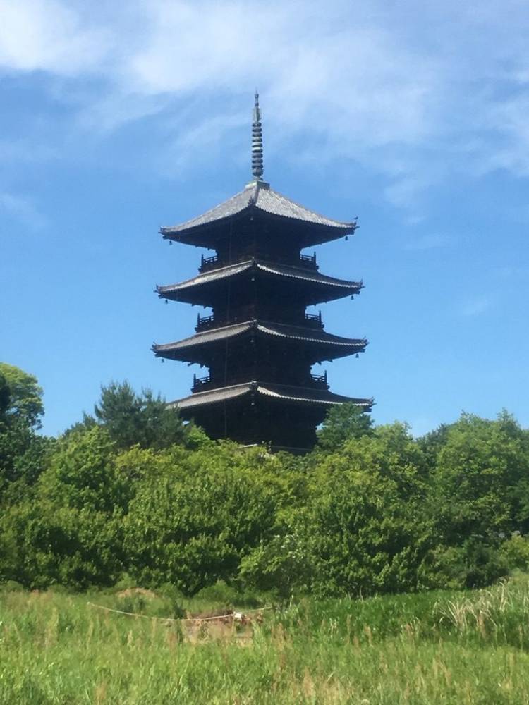 出勤の予定でしたが、お休みさせていただきます