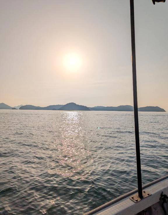 釣り〜🎣✨