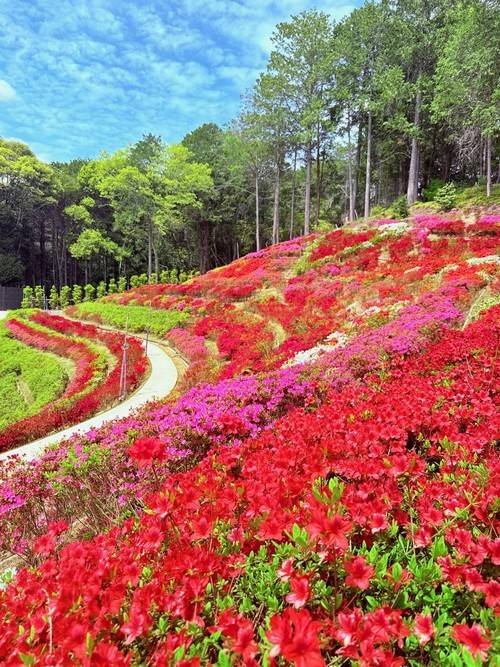 ５月になって３回目の日曜日