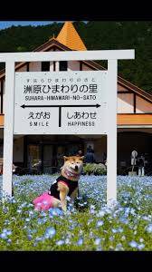 予想最高気温は３１℃