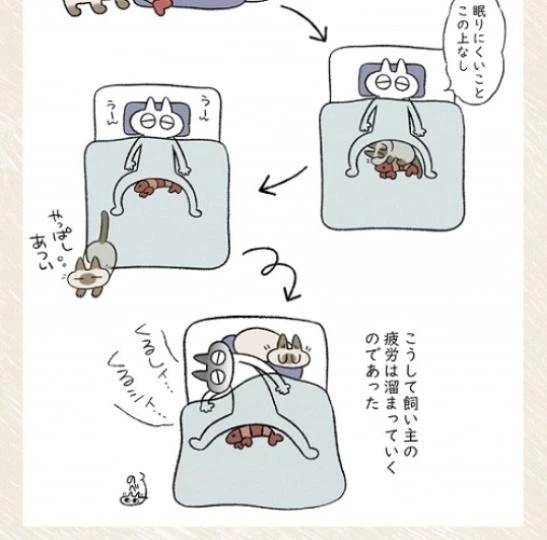 ありがとう😊