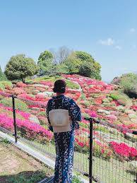 おやすみなさい