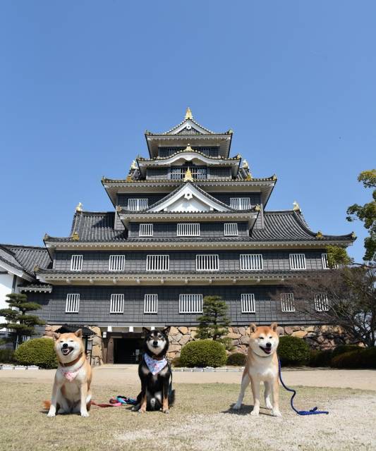 本日も宜しくお願い致します
