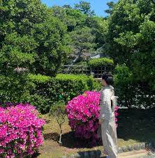 予想最高気温は昨日と同じ２５℃