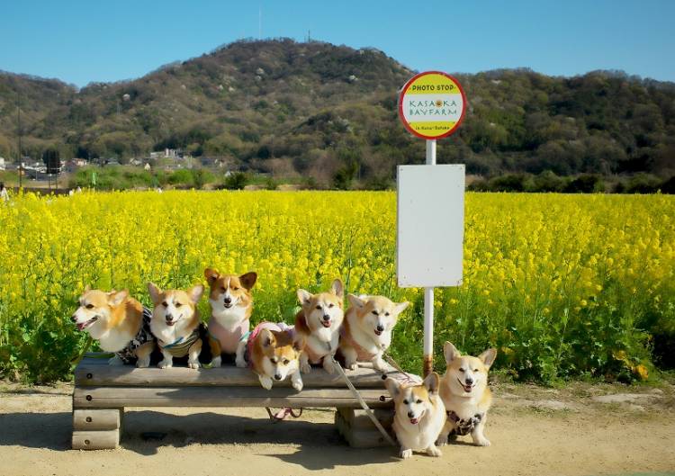５月になって４回目の日曜日