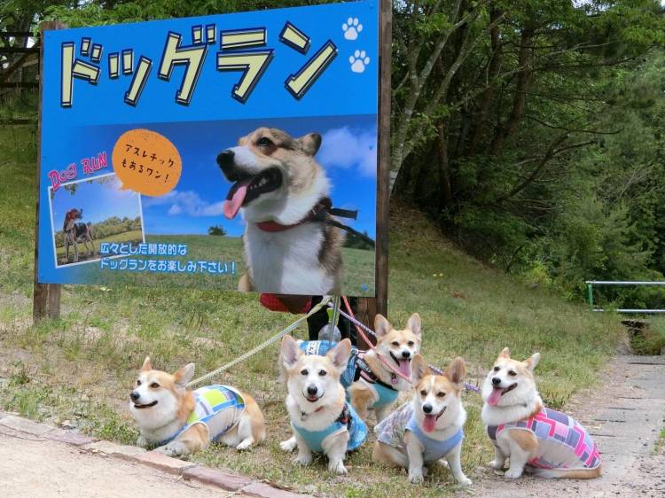 予想最高気温は２７℃