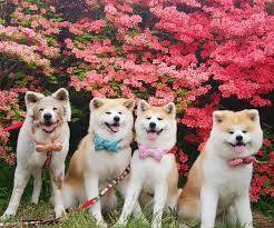 ありがとうございました