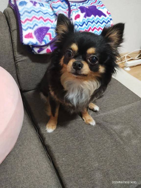 雨の水曜日？