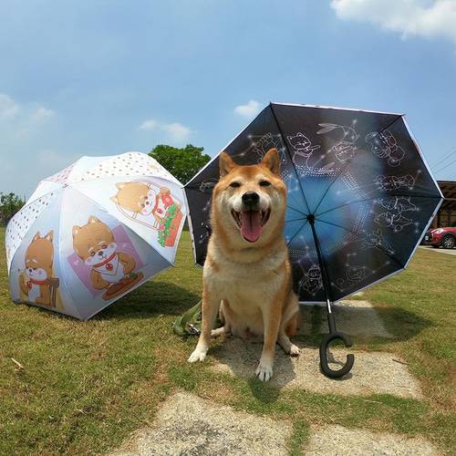5月最後の木曜日