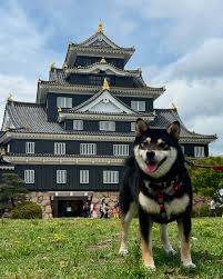 ５月最後の金曜日