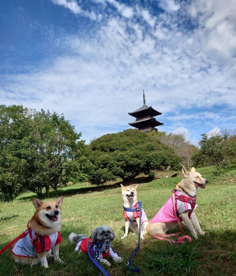 本日も宜しくお願い致します