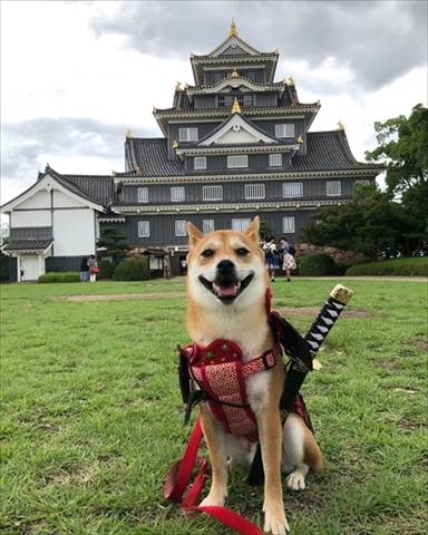 ５月最後の土曜日